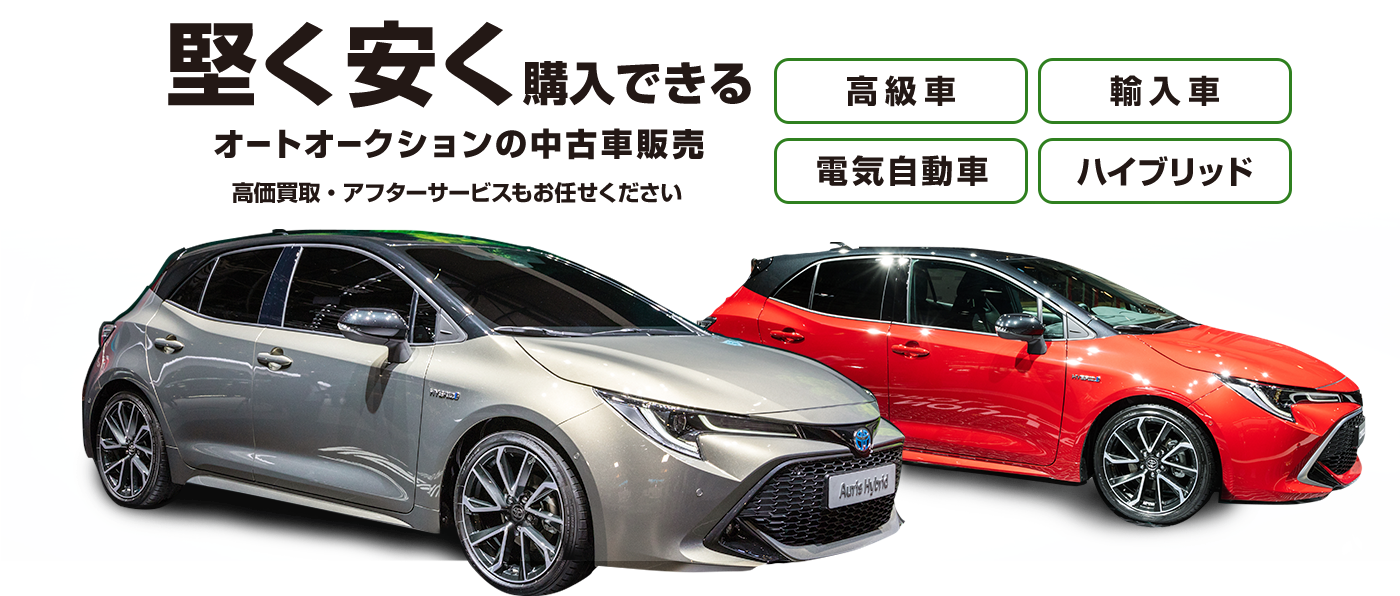 堅く安く 購入できる