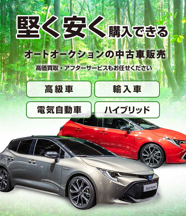 堅く安く 購入できる